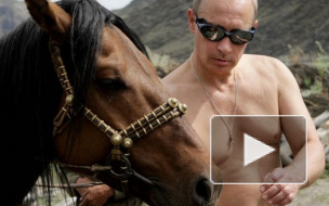 Путин покорит Антарктиду, нырнет с аквалангом и сыграет в хоккей