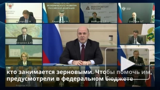 Мишустин: ситуация с обеспечением аграриев РФ минеральными удобрениями стабилизировалась