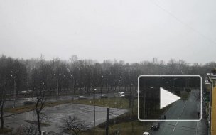 Утро мартовской пятницы в Петербурге дополнил снегопад 