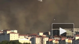 Порядка 2,7 тыс. человек задействованы в тушении крупного природного пожара на западе Турции