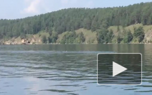 Появилось видео огромного змеевидного чудовища, плавающего в озере в Челябинской области