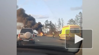 На Киевском шоссе в Петербурге сгорел BMW