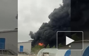 Видео: пожар охватил лакокрасочный завод в Металлострое