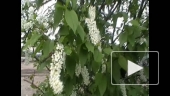Краски весны-3
