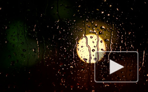 МЧС: в субботу в Петербург придут ливни с грозами 