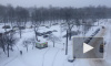 За сутки в Петербурге собрали 4 тысячи самосвалов со снегом