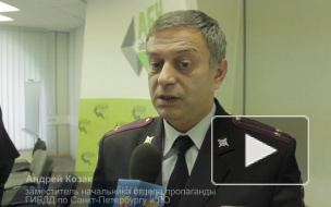 Окраины Петербурга атакуют лоси