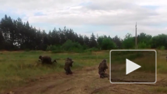 Последние новости Украины: ополченцы пошли в наступление под Донецком, силовики пытаются вырваться из окружения