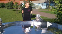 В скандал с детьми-«живыми статуями» на приеме у Полтавченко ввязалась «Единая Россия»