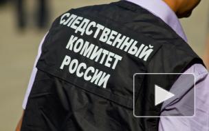 Суд арестовал бывшего вице-губернатора Мордовии Меркушкина на два месяца