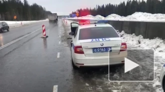 В Ленобласти полиция со стрельбой задержала водителя с признаками опьянения