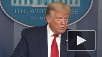 Трамп сообщил о "хорошем разговоре" с Путиным по нефти