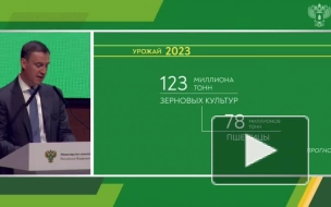 Минсельхоз ожидает снижение урожая масличных до 26 млн т