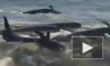 Видео из Джорджии: Люди объединились для спасения 50 китов-пилотов, которые выбросились на берег
