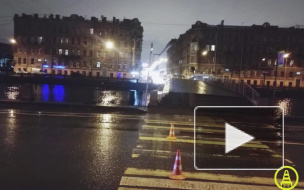 Такси сбило юную москвичку на набережной Фонтанки