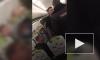 Дебош пьяных пассажиров и драку с полицейскими на борту самолета сняли на видео