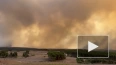 СМИ: в Португалии из-за лесного пожара эвакуировали ...