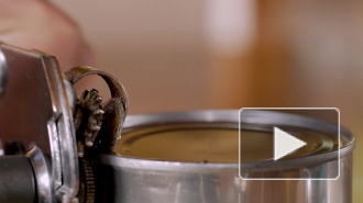 Роскачество нашло в говяжьей тушенке антибиотики и ДНК лошади