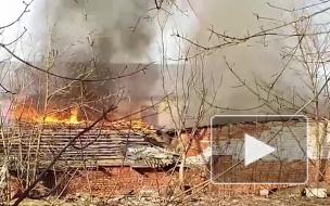 В Красном Селе сгорели несколько гаражей