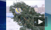 Ураган свалил главную новогоднюю елку Петрозаводска
