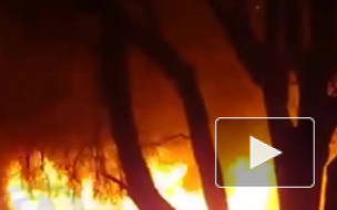 Жуткое видео из Ростова: двое мужчин бросили погибать женщин в пожаре