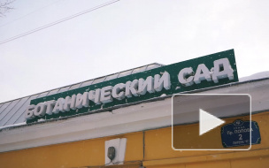 Ботанический сад приглашает петербуржцев на субботник 