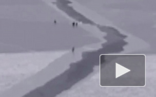 Первые видеокадры: Во Владивостоке на оторвавшемся льду уносит 50 рыбаков