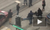 На Московском проспекте водитель сбил двух людей на пешеходном переходе