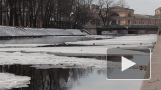 Тепло в Петербург придет на Пасху