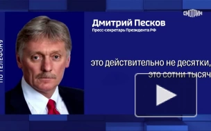 Песков: Кишинев не предоставил права голоса сотням тысяч молдаван в РФ