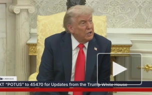 Трамп заявил, что Маск сошел с ума