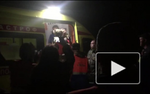 В Нижегородской области нашли пропавшую в лесу 5-летнюю девочку