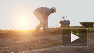 Российским дачникам возместят убытки по новым правилам