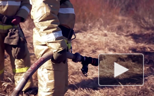 МЧС ввели особый противопожарный режим в 22 регионах страны