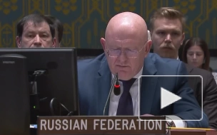 Небензя поинтересовался, кто на самом деле противостоит России на Украине