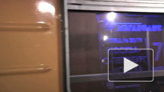 Рычали и урчали. 13 тигров приехали в Петербург для участия в саммите по сохранению своих сородичей Рычали и урчали. 13 тигров приехали в Петербург для участия в саммите по сохранению своих сородичей