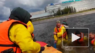Во время Петровского гребного марафона на Неве спасали упавших в воду участников