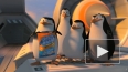 "Пингвины Мадагаскара": пернатые мастера шпионажа ...