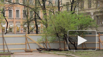 Единоросс Макаров лег под экскаватор, спасая зелень