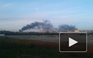 В Новом Девяткино жгли мусор и покрышки 