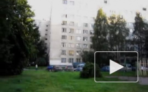 На Богатырском проспекте жители обнаружили сидящего мертвеца 