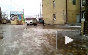 По улицам города Гулькевичи Краснодарского края гулял медведь