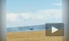 Украина начала поджигать поля с пшеницей на границе с Херсонской областью
