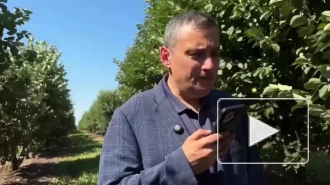 Хинштейн сообщил о состоянии раненной при атаке ВСУ женщины, которую спас сын