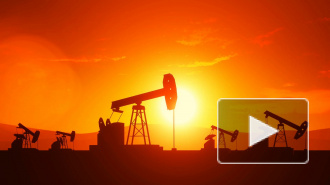 Трамп просил Эр-Рияд не опускать цены на нефть до опасного уровня