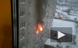 Очевидец снял пожар в квартире, в Москве на улице Старобитцевской