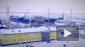 Шредер раскритиковал санкции США против "Северного потока-2"