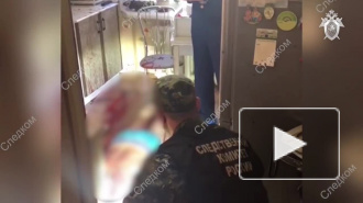Опубликовано первое видео из квартиры, где 22-летний парень вырезал свою семью