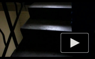 Неполадки на Центральной ТЭЦ устроили блэкаут в трех районах Петербурга