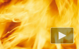 Пожар во Всеволожском районе: трое несовершеннолетних сгорели заживо, празднуя день рождения, именинник спасся